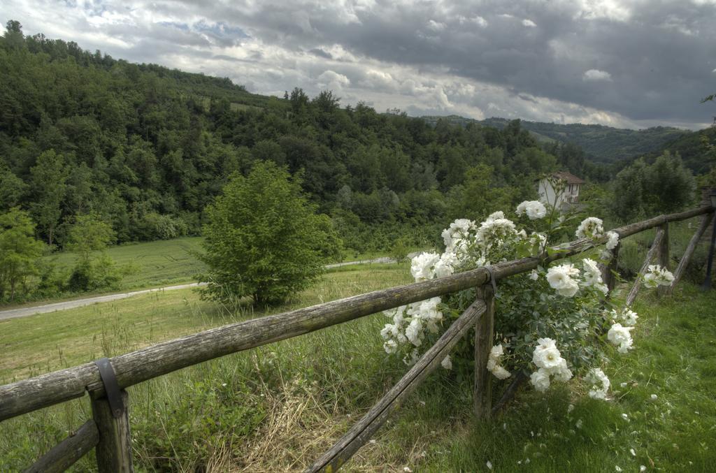 B&B Il Sole Delle Rive Sinio Exterior photo