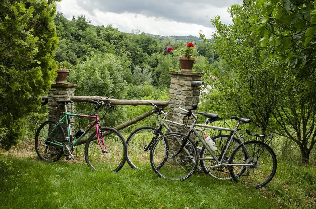 B&B Il Sole Delle Rive Sinio Exterior photo