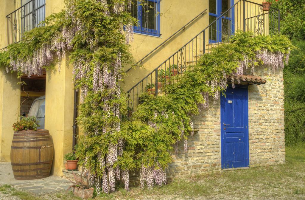 B&B Il Sole Delle Rive Sinio Exterior photo